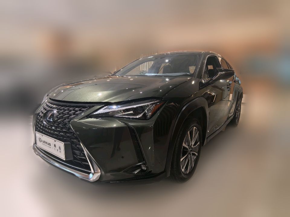 Lexus UX 300e 2020 Pure Edition