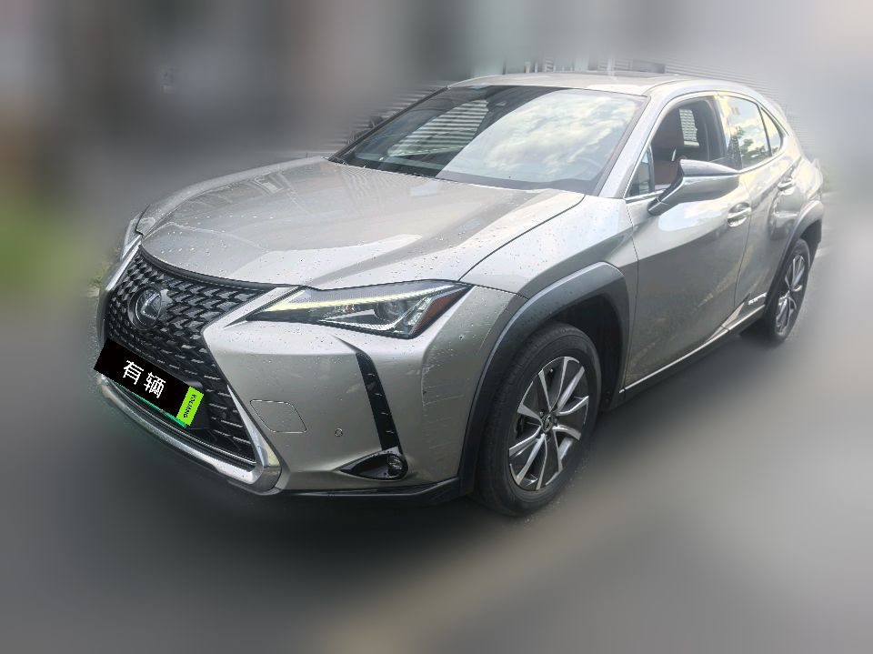 Lexus UX 300e 2020 Pure Edition