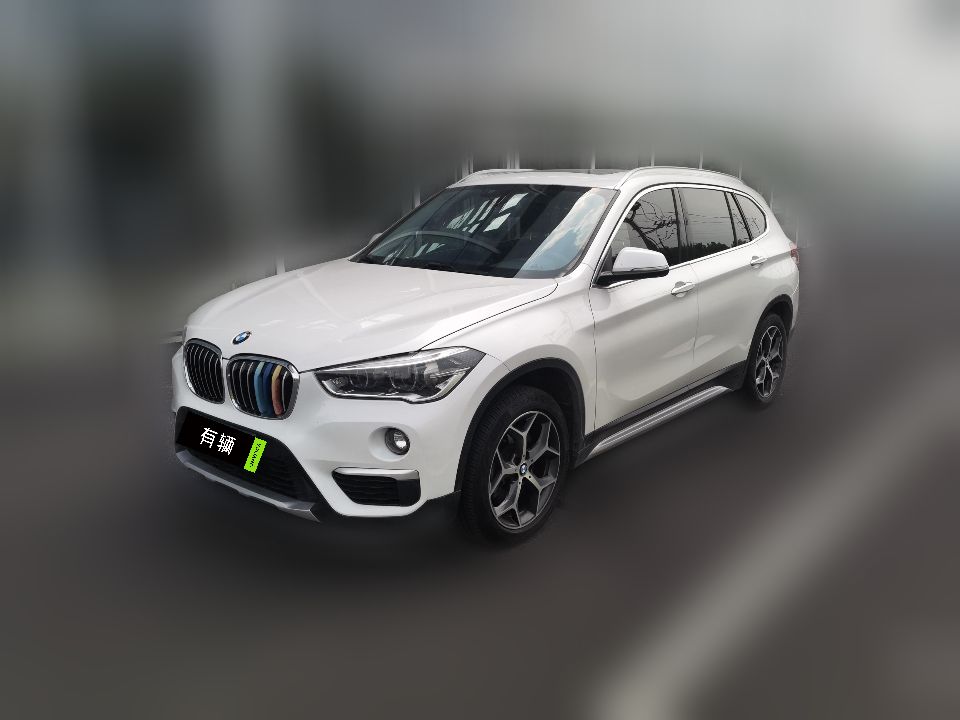BMW X1 xDrive20Li 2019 2.0T AT Premium