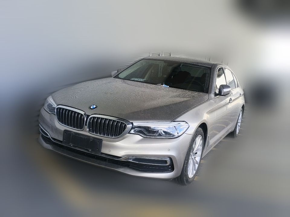 BMW 530Li 2020 2.0T AT Leading Luxury Package