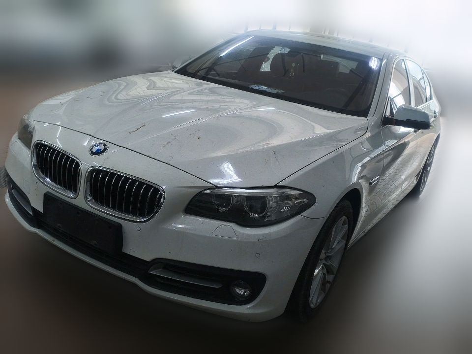 BMW 528Li xDrive 2014 2.0T AT Leading