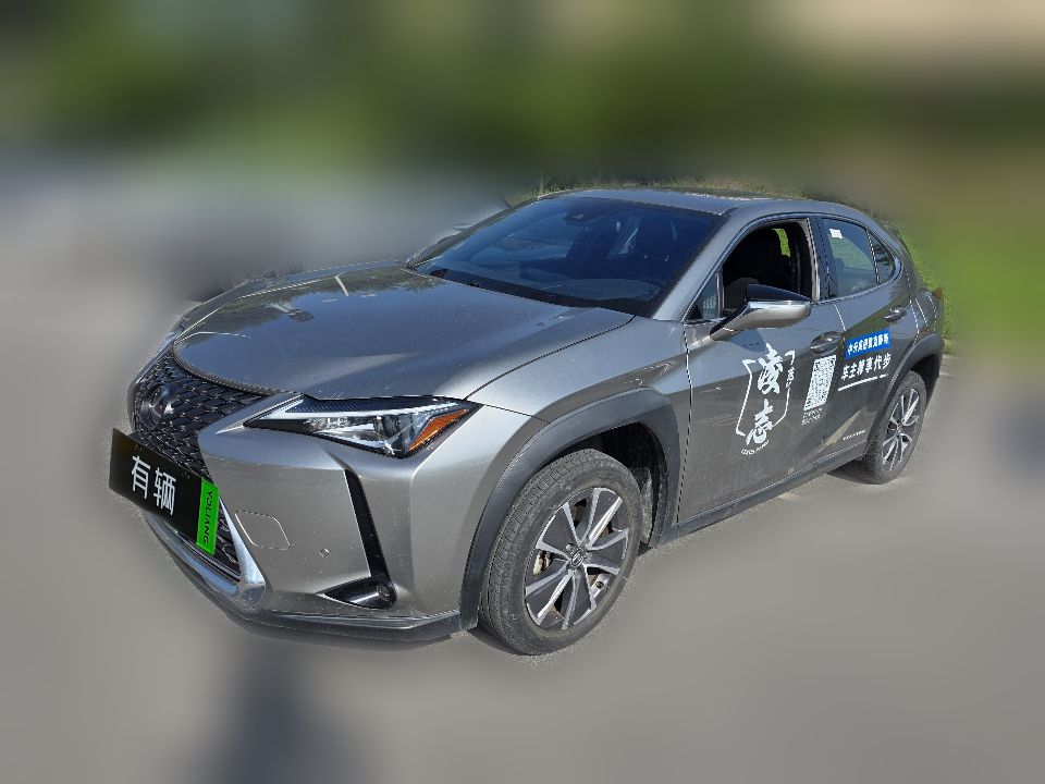 Lexus UX 300e 2020 Pure Edition
