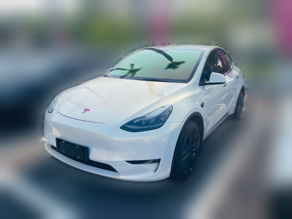 Tesla Model Y 2021 Standard Range RWD