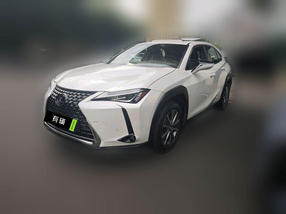Lexus UX 300e 2020 Pure Edition