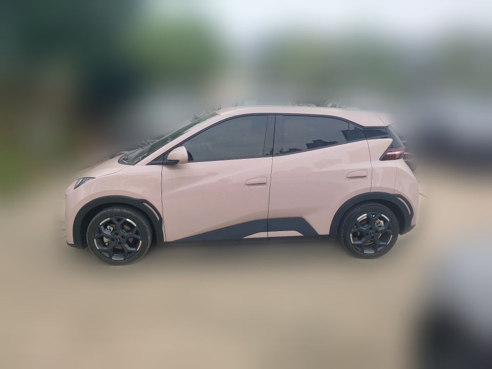 BYD Seagull 2024 Honor Edition 305km Active