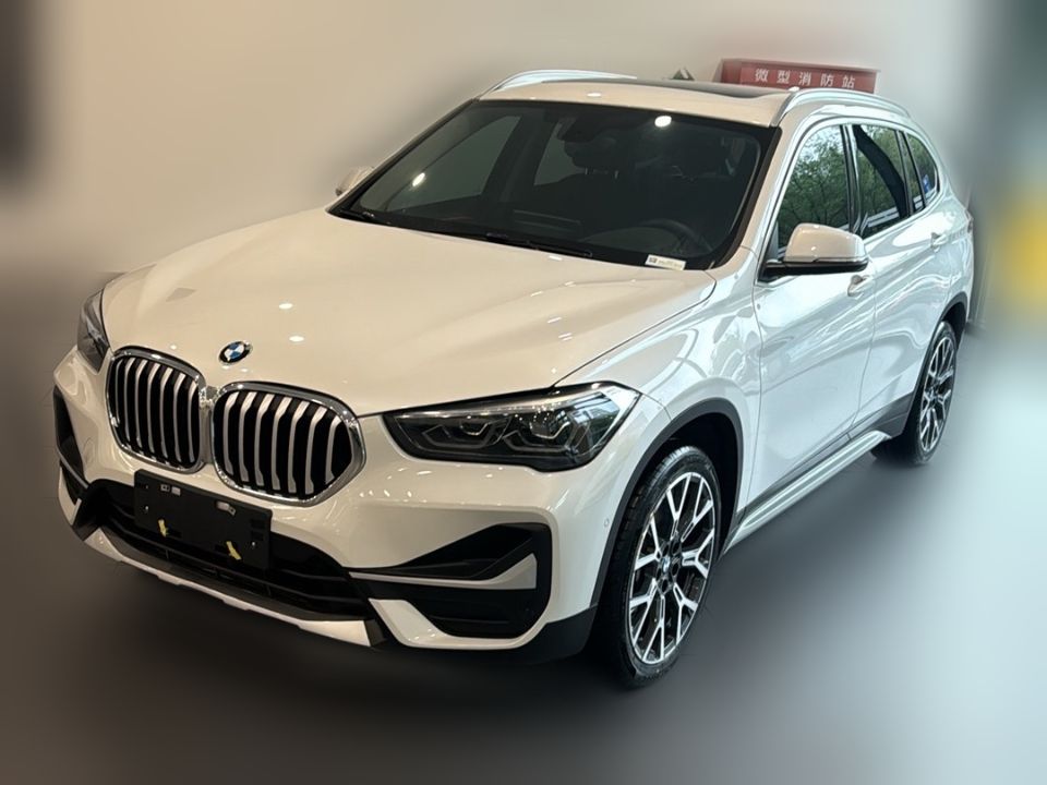BMW X1 xDrive25Li 2020 2.0T AT Premium