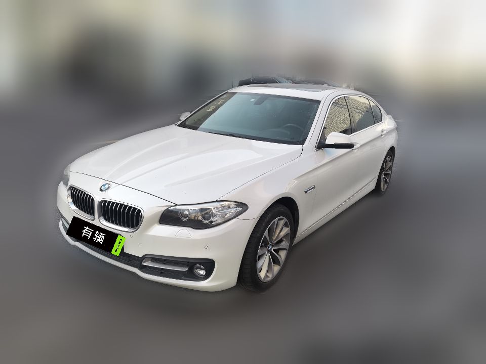 BMW 528Li xDrive 2014 2.0T AT Leading