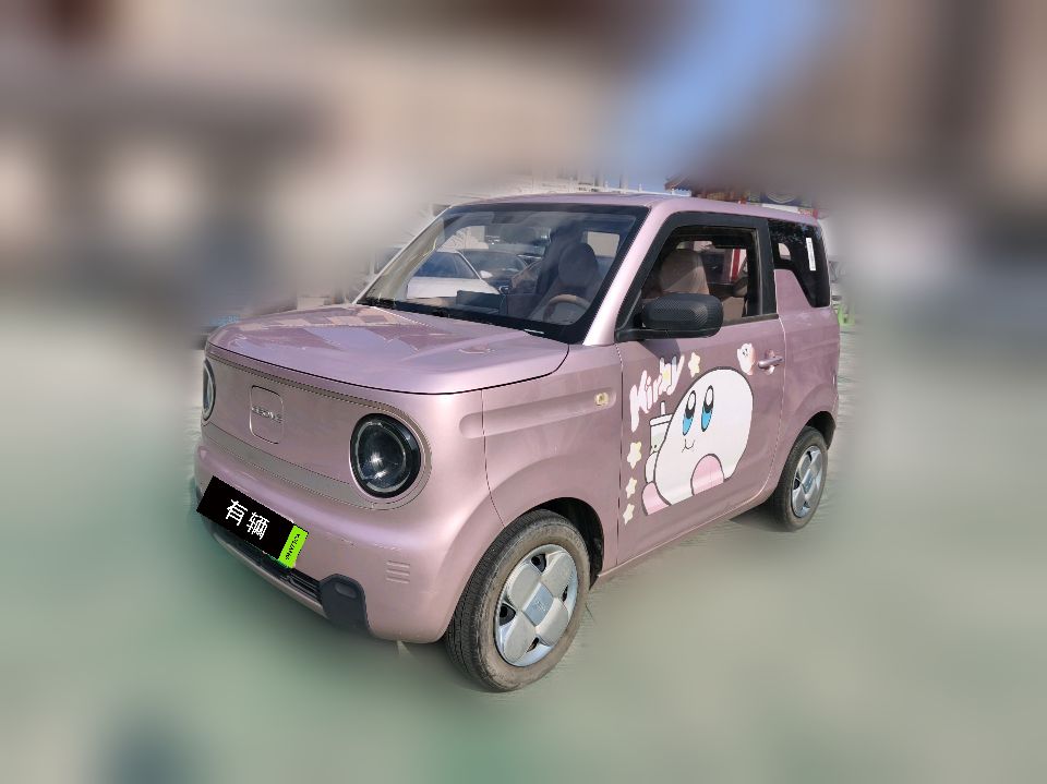Geely Panda MINI 2023 200km Naimali