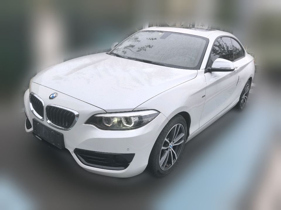 BMW 220i Coupe 2018 1.5T AT Sport Package