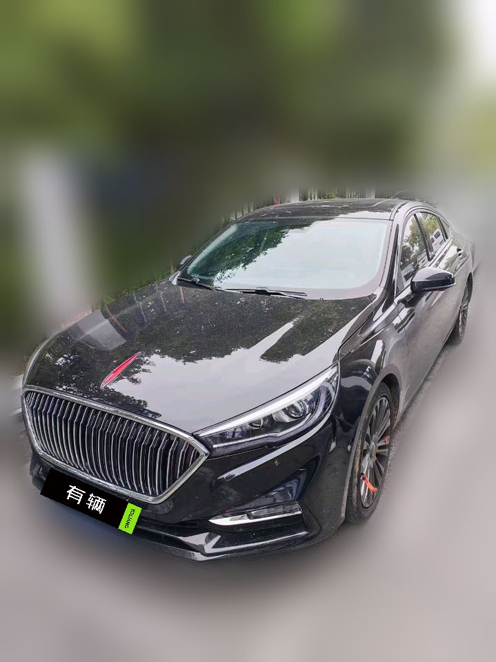 Hongqi H5 2019 1.8TD AT 30TD Intelligent Elegance Edition