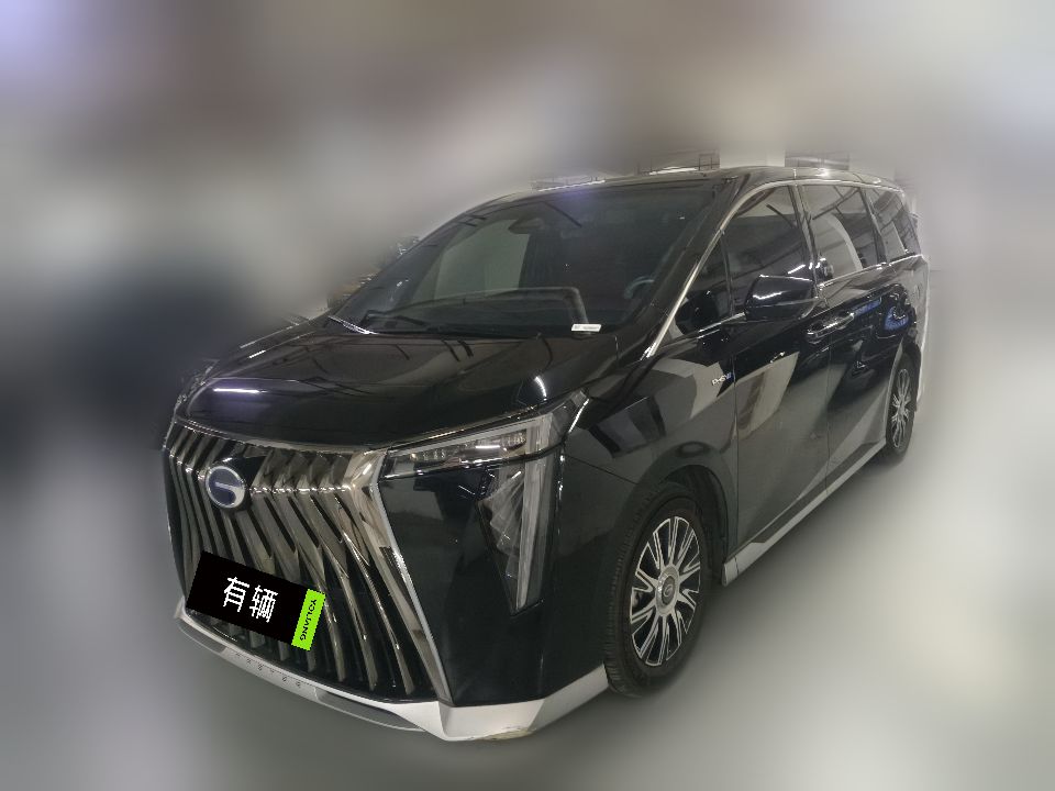 Trumpchi E9 2023 2.0T AT Champion Edition