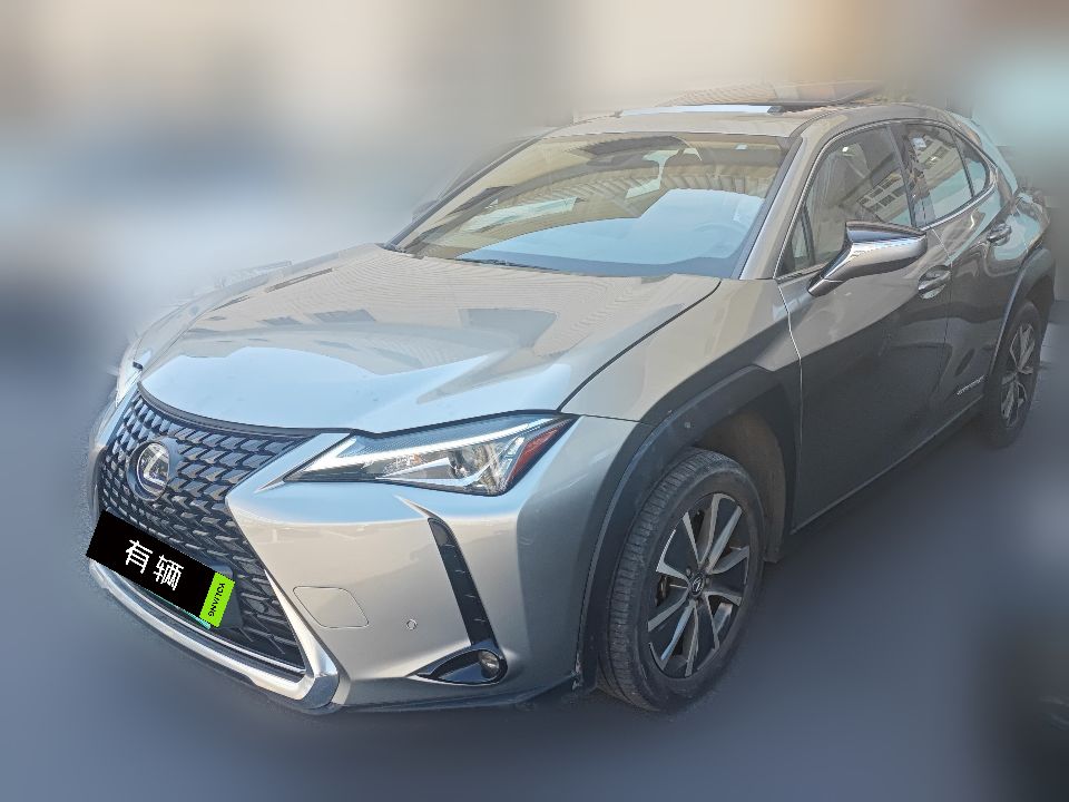 Lexus UX 300e 2020 Pure Edition