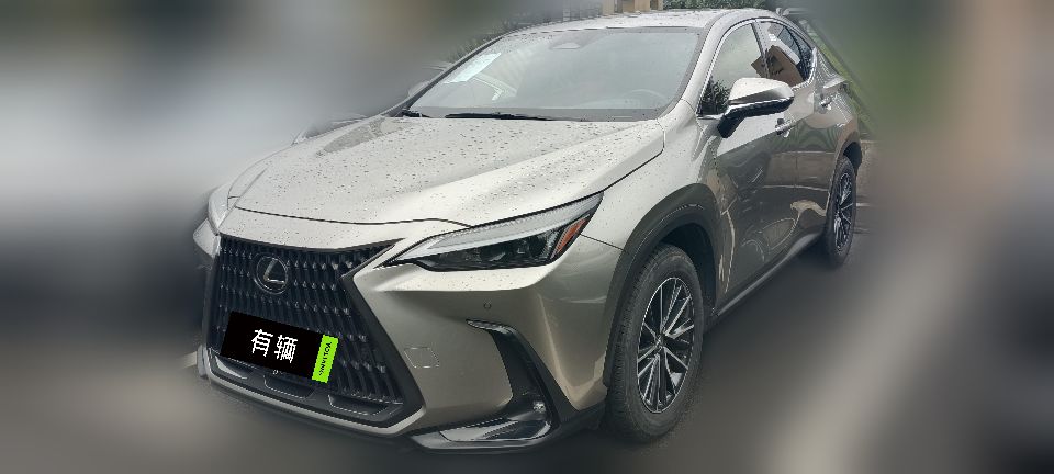 Lexus NX260 2023 2.5 AT Chuangyue