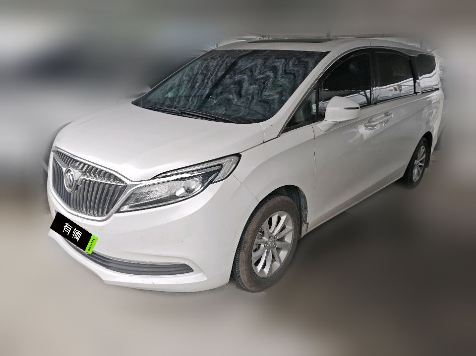 Buick GL8 ES Luxury Business 2017 2.0T AT 28T Comfort