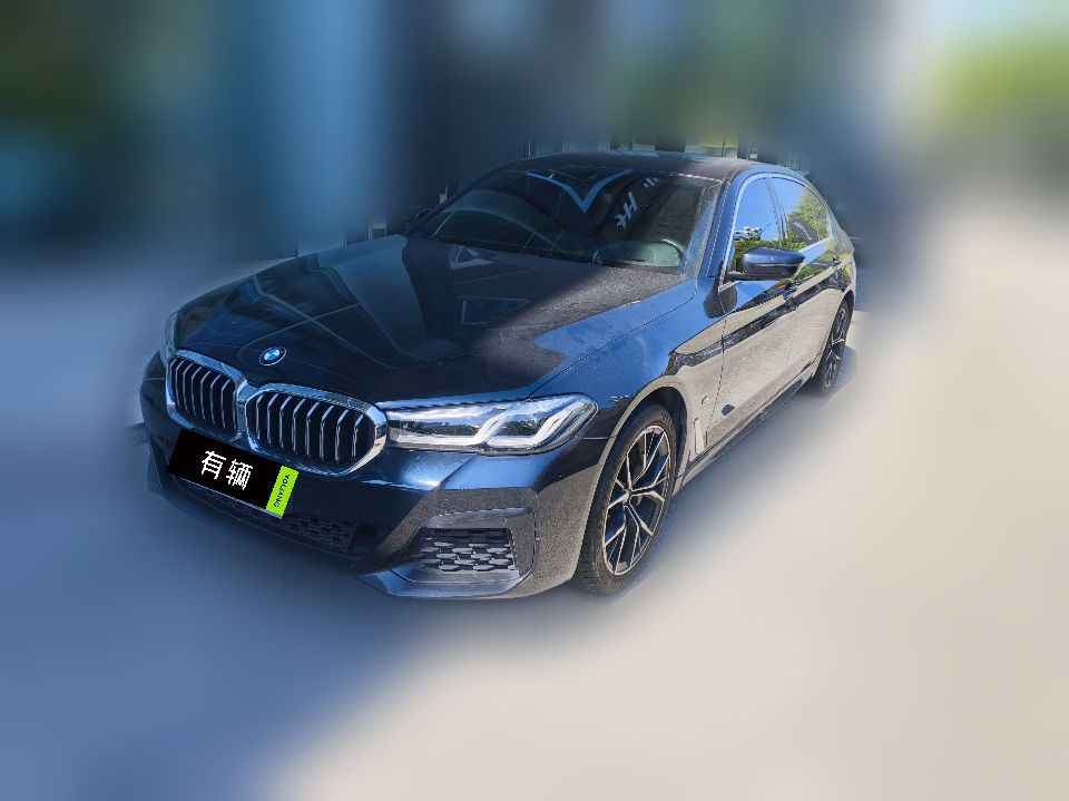 BMW 530Li 2021 2.0T AT Luxury M Sport