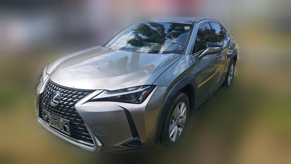 Lexus UX260h 2020 2.0 CVT Experience