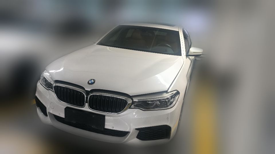 BMW 530Li 2020 2.0T AT Premium M Sport Package