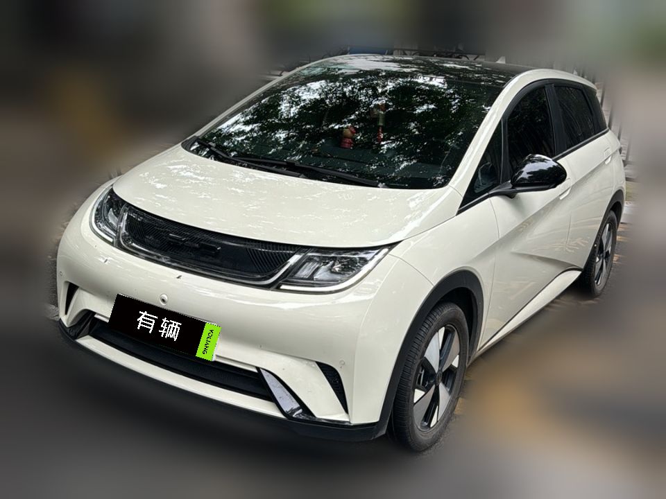 BYD Dolphin 2023 420km Fashion Edition