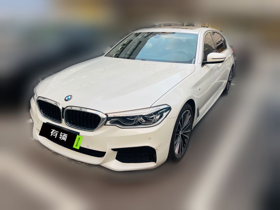 BMW 530Li 2020 2.0T AT Leading Edition M Sport Package
