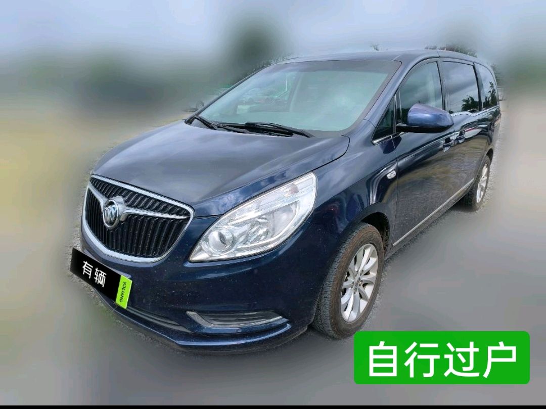 Buick GL8 Commercial Van 2017 2.5 AT 25S Comfort