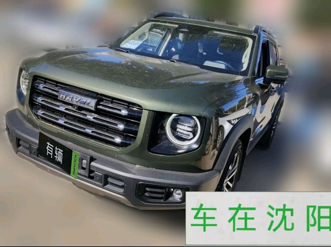 Haval Big Dog 2020 1.5T DCT Labrador Edition