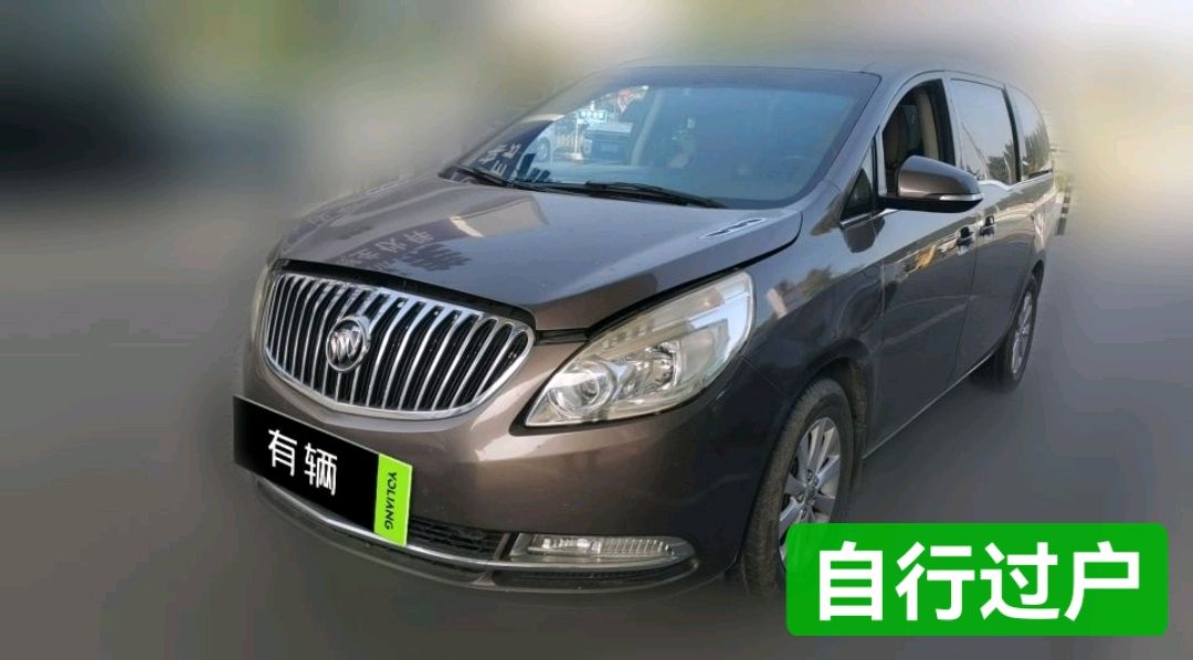 Buick GL8 Luxury Business Van 2011 2.4 AT CT Comfort